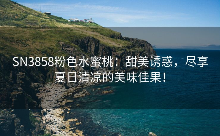 SN3858粉色水蜜桃：甜美诱惑，尽享夏日清凉的美味佳果！