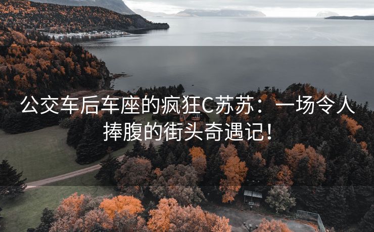公交车后车座的疯狂C苏苏：一场令人捧腹的街头奇遇记！