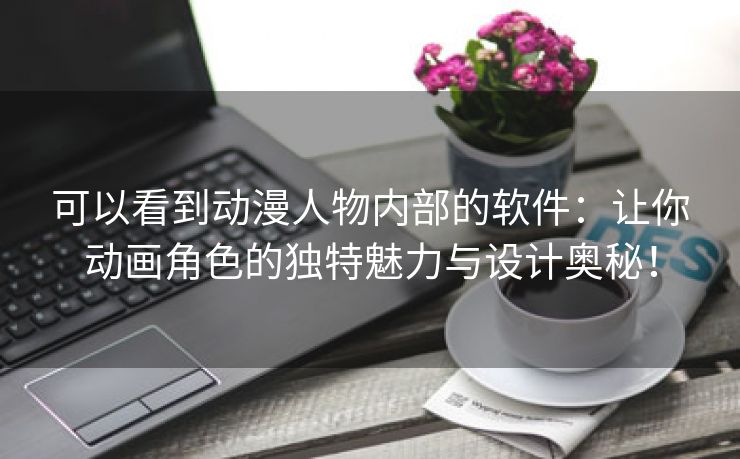 可以看到动漫人物内部的软件：让你动画角色的独特魅力与设计奥秘！