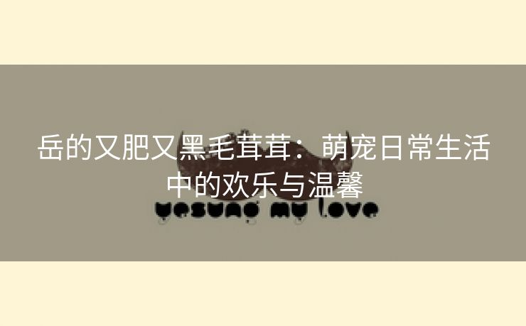 岳的又肥又黑毛茸茸：萌宠日常生活中的欢乐与温馨