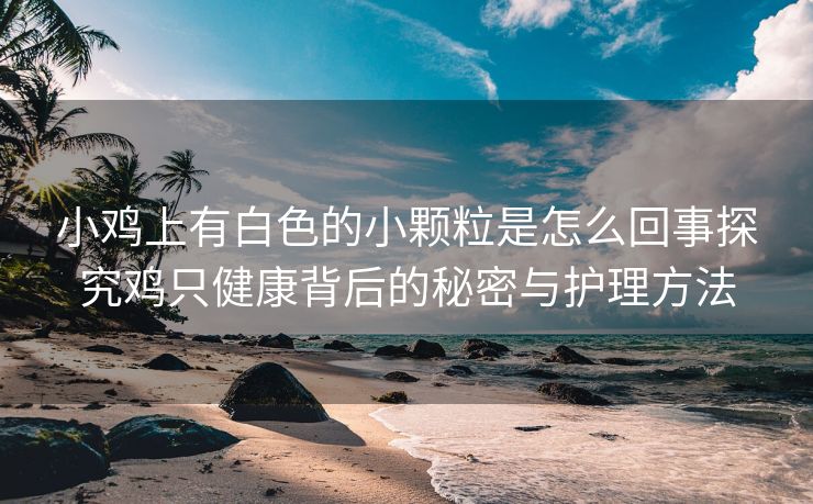 小鸡上有白色的小颗粒是怎么回事探究鸡只健康背后的秘密与护理方法