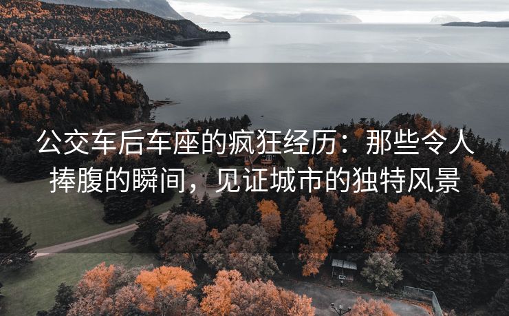 公交车后车座的疯狂经历：那些令人捧腹的瞬间，见证城市的独特风景