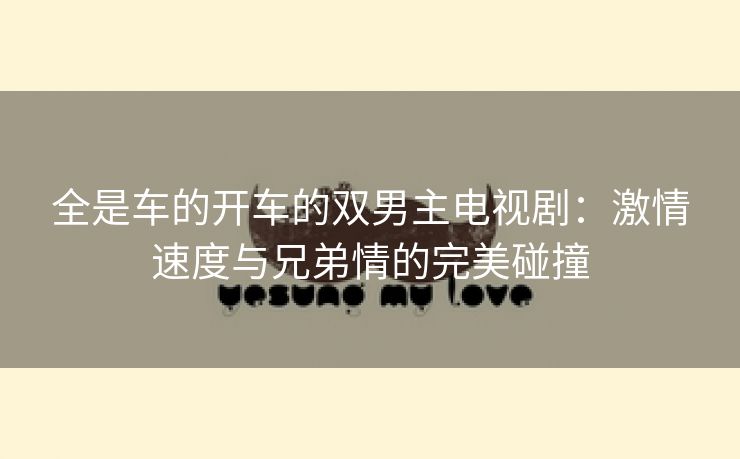 全是车的开车的双男主电视剧：激情速度与兄弟情的完美碰撞