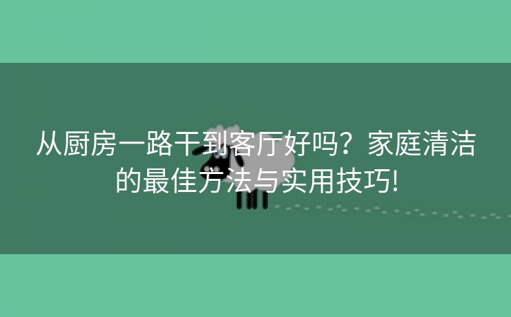 从厨房一路干到客厅好吗？家庭清洁的最佳方法与实用技巧!