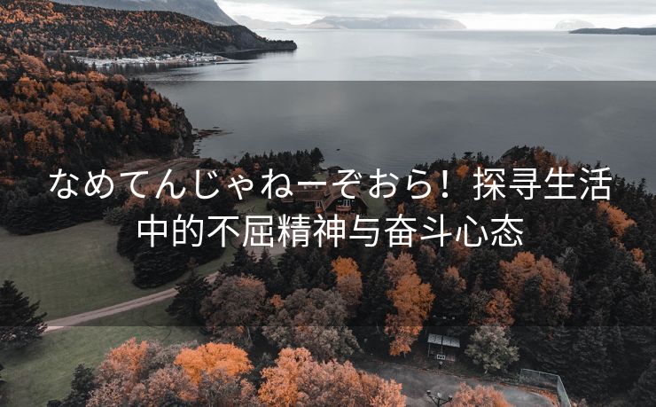 なめてんじゃねーぞおら！探寻生活中的不屈精神与奋斗心态