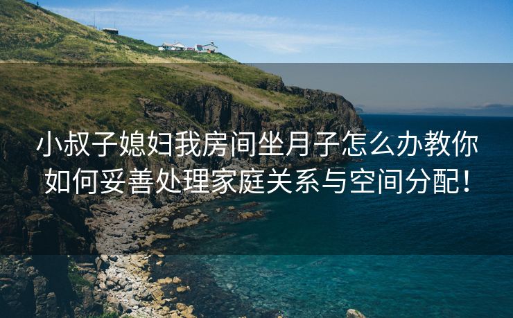 小叔子媳妇我房间坐月子怎么办教你如何妥善处理家庭关系与空间分配！