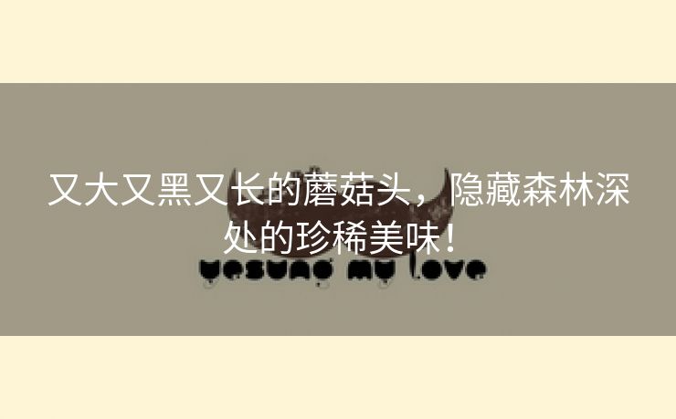 又大又黑又长的蘑菇头，隐藏森林深处的珍稀美味！
