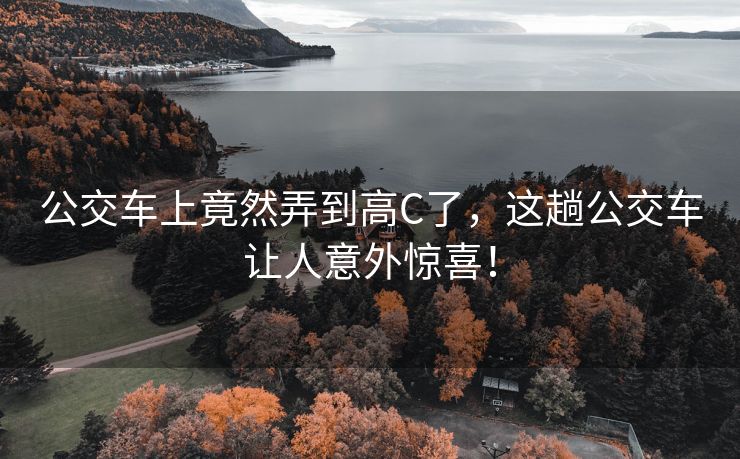 公交车上竟然弄到高C了，这趟公交车让人意外惊喜！