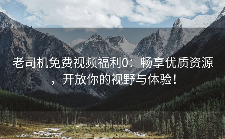 老司机免费视频福利0：畅享优质资源，开放你的视野与体验！