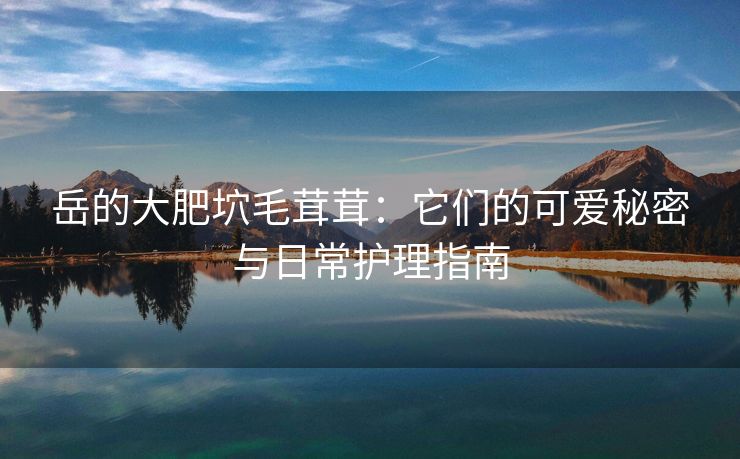 岳的大肥坹毛茸茸：它们的可爱秘密与日常护理指南
