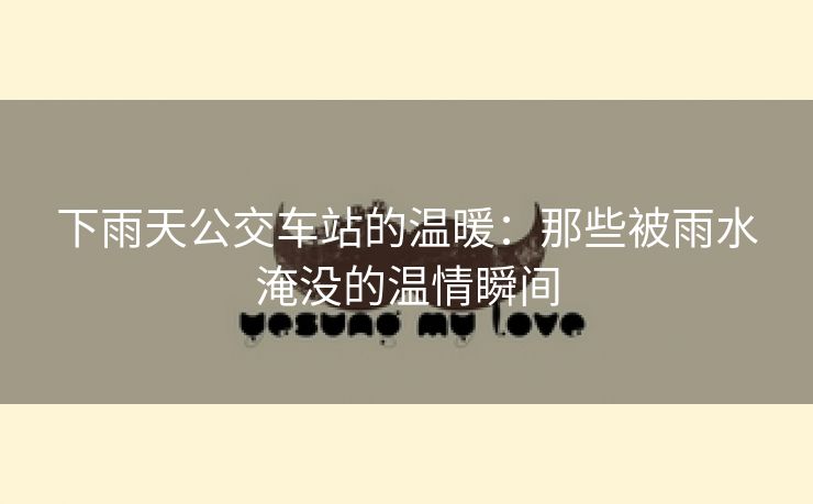 下雨天公交车站的温暖：那些被雨水淹没的温情瞬间