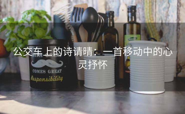 公交车上的诗请晴：一首移动中的心灵抒怀