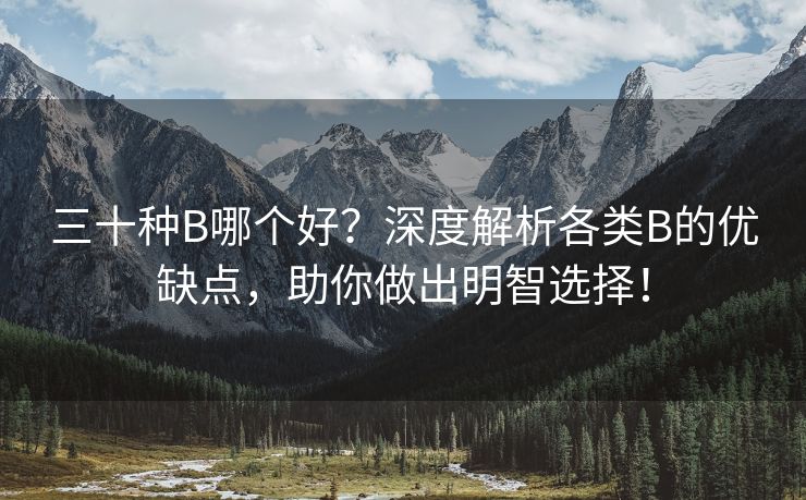 三十种B哪个好？深度解析各类B的优缺点，助你做出明智选择！