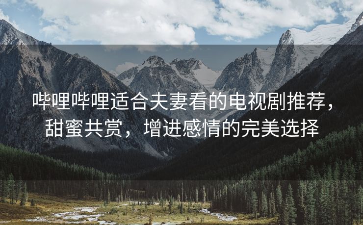 哔哩哔哩适合夫妻看的电视剧推荐，甜蜜共赏，增进感情的完美选择