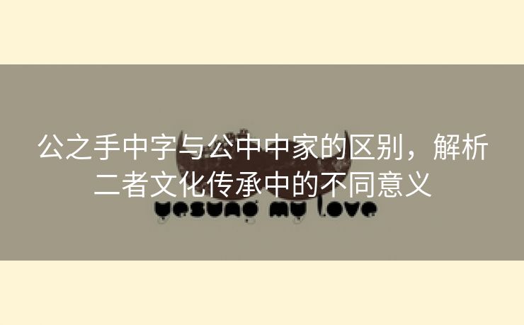 公之手中字与公中中家的区别，解析二者文化传承中的不同意义