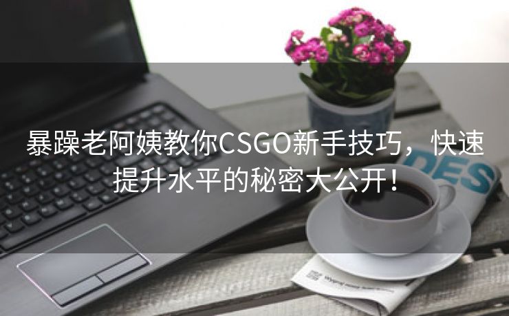暴躁老阿姨教你CSGO新手技巧，快速提升水平的秘密大公开！