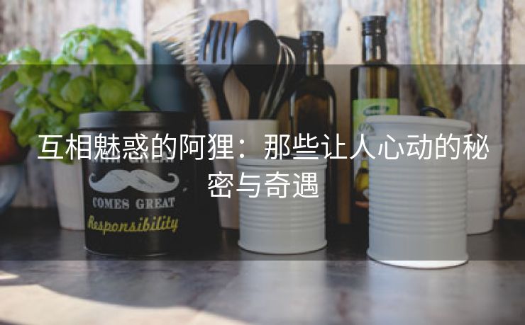互相魅惑的阿狸：那些让人心动的秘密与奇遇